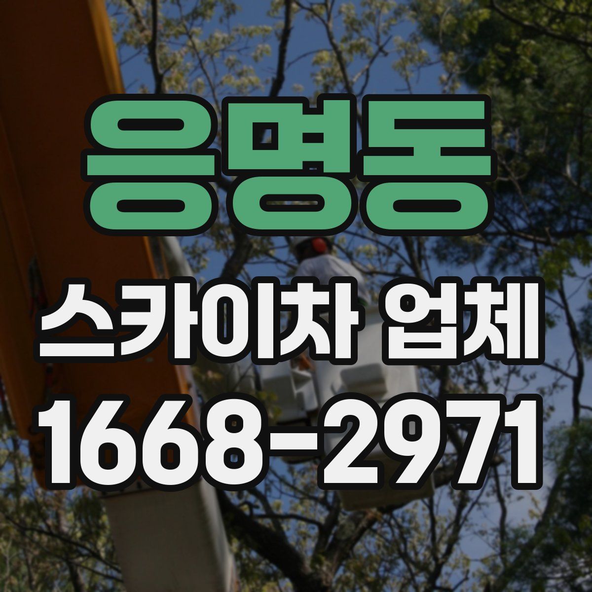 응명동 스카이차 업체