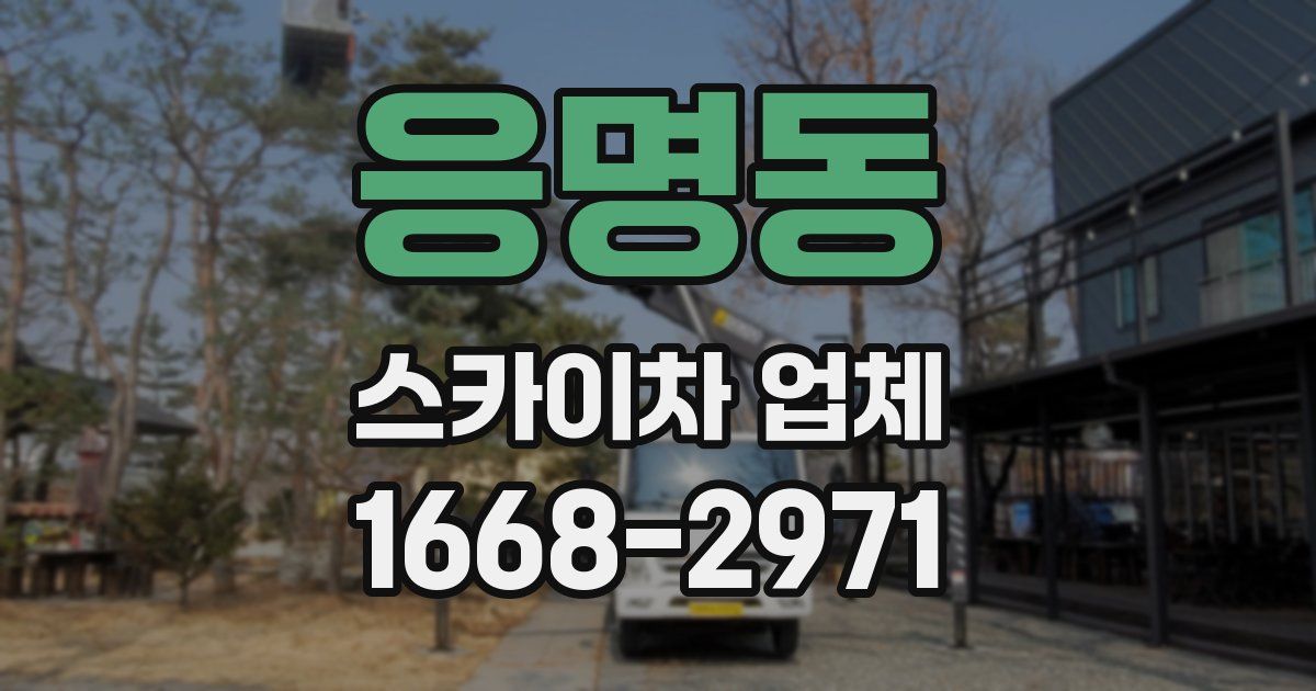 응명동 스카이차 업체