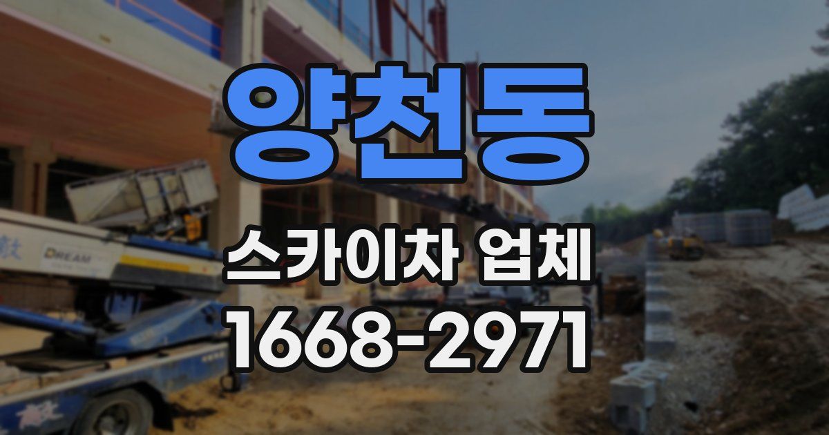 양천동 스카이차 업체
