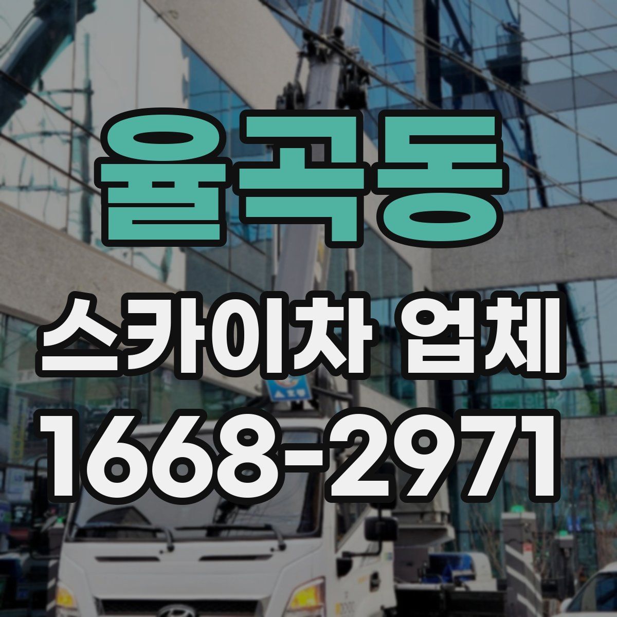 율곡동 스카이차 업체