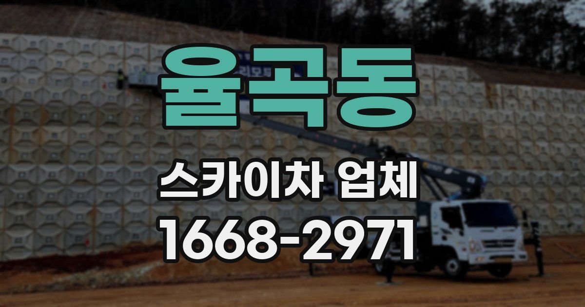 율곡동 스카이차 업체