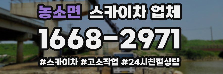 농소면 스카이차 업체