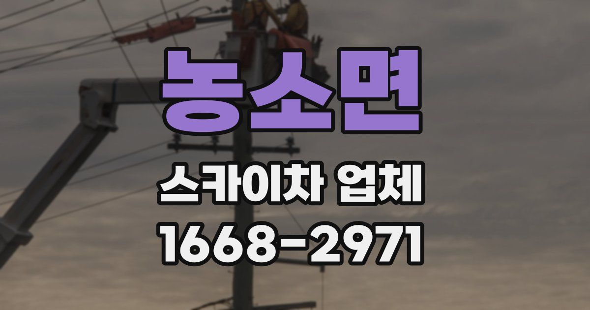 농소면 스카이차 업체