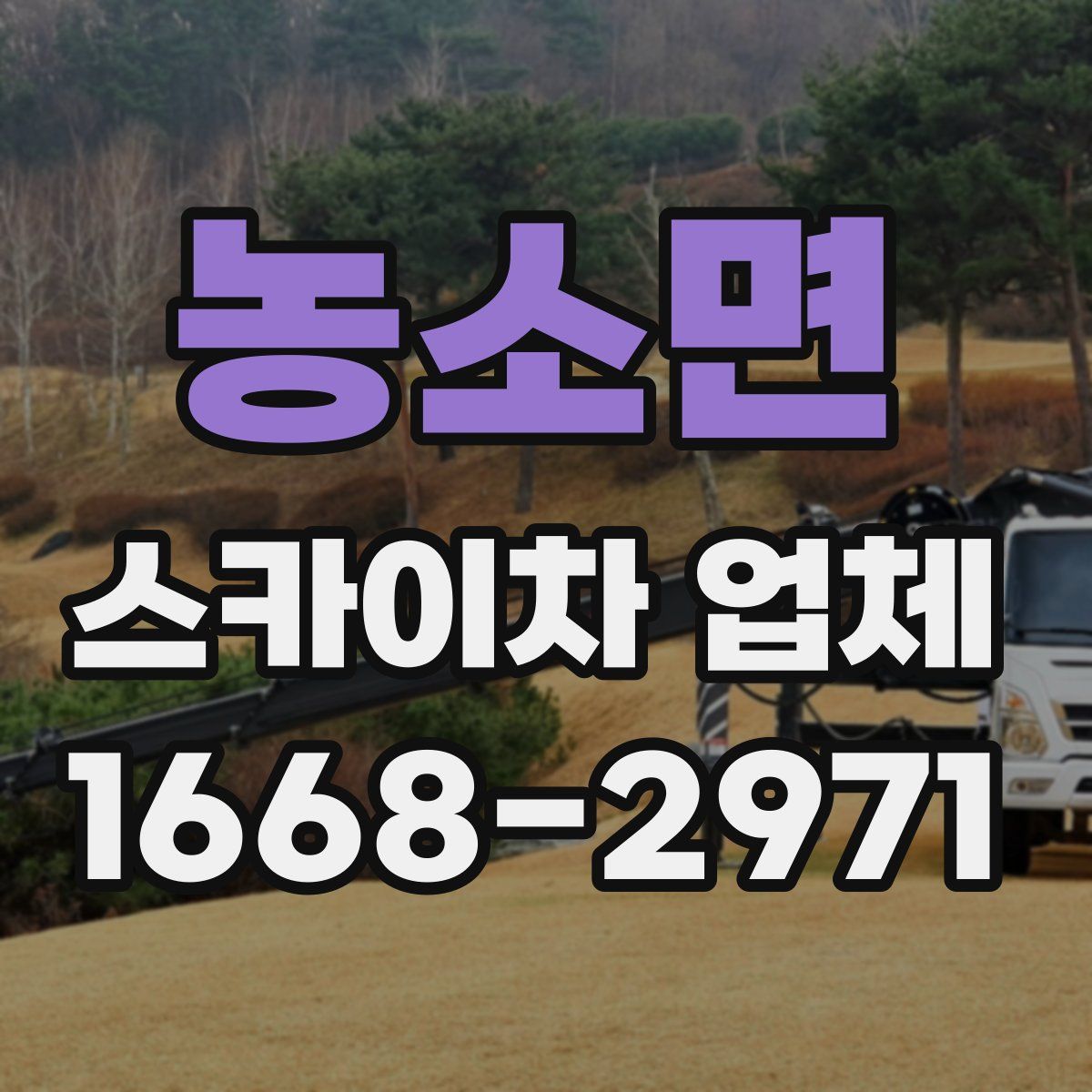 농소면 스카이차 업체