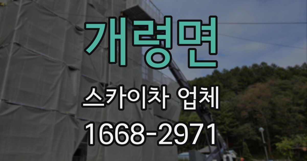 개령면 스카이차 업체