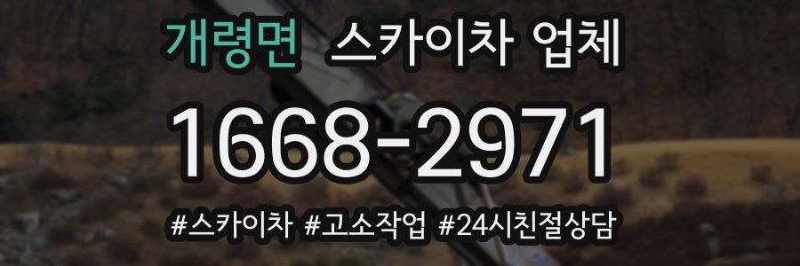 개령면 스카이차 업체
