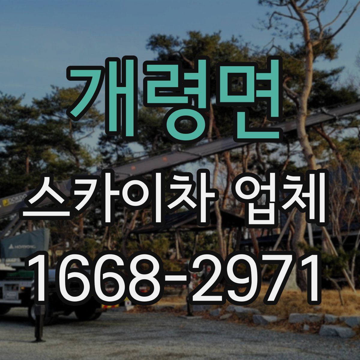 개령면 스카이차 업체
