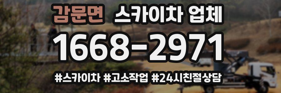 감문면 스카이차 업체