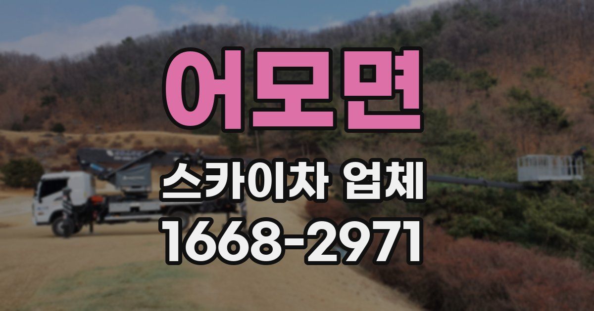 어모면 스카이차 업체