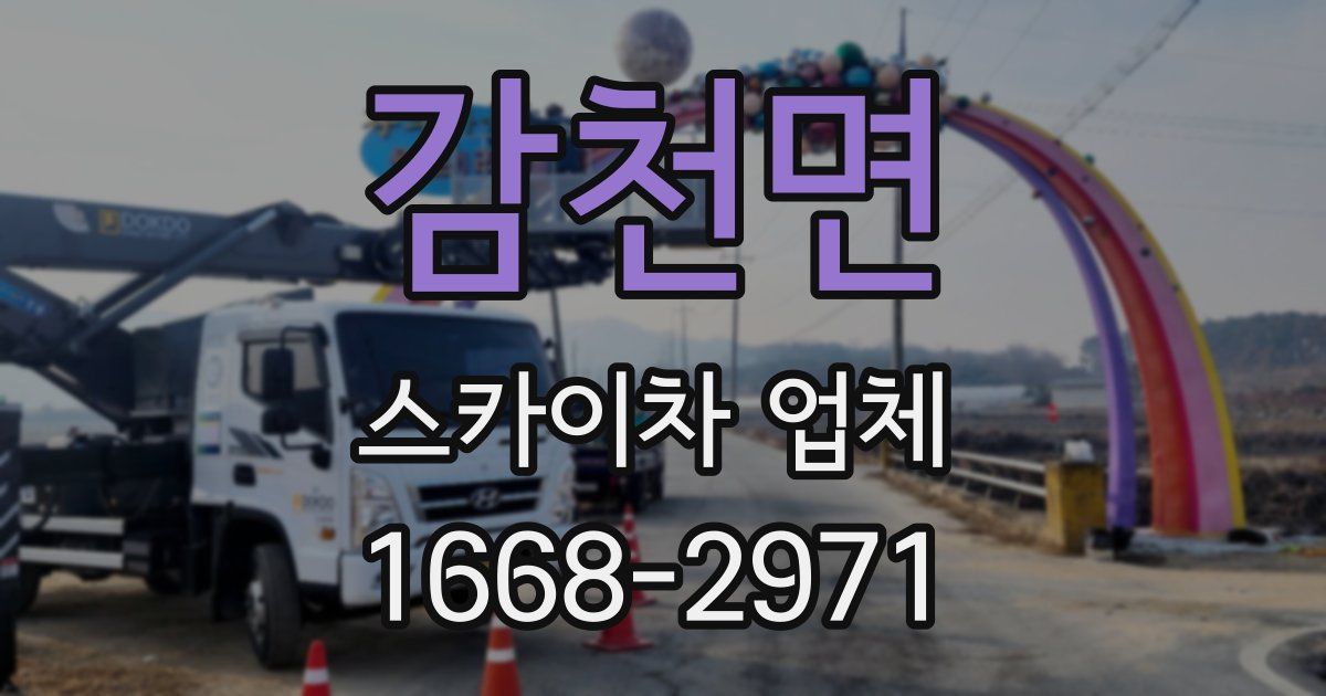 감천면 스카이차 업체