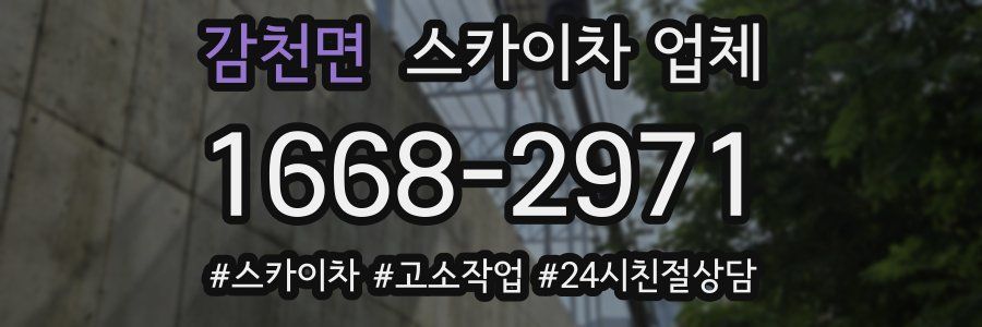 감천면 스카이차 업체