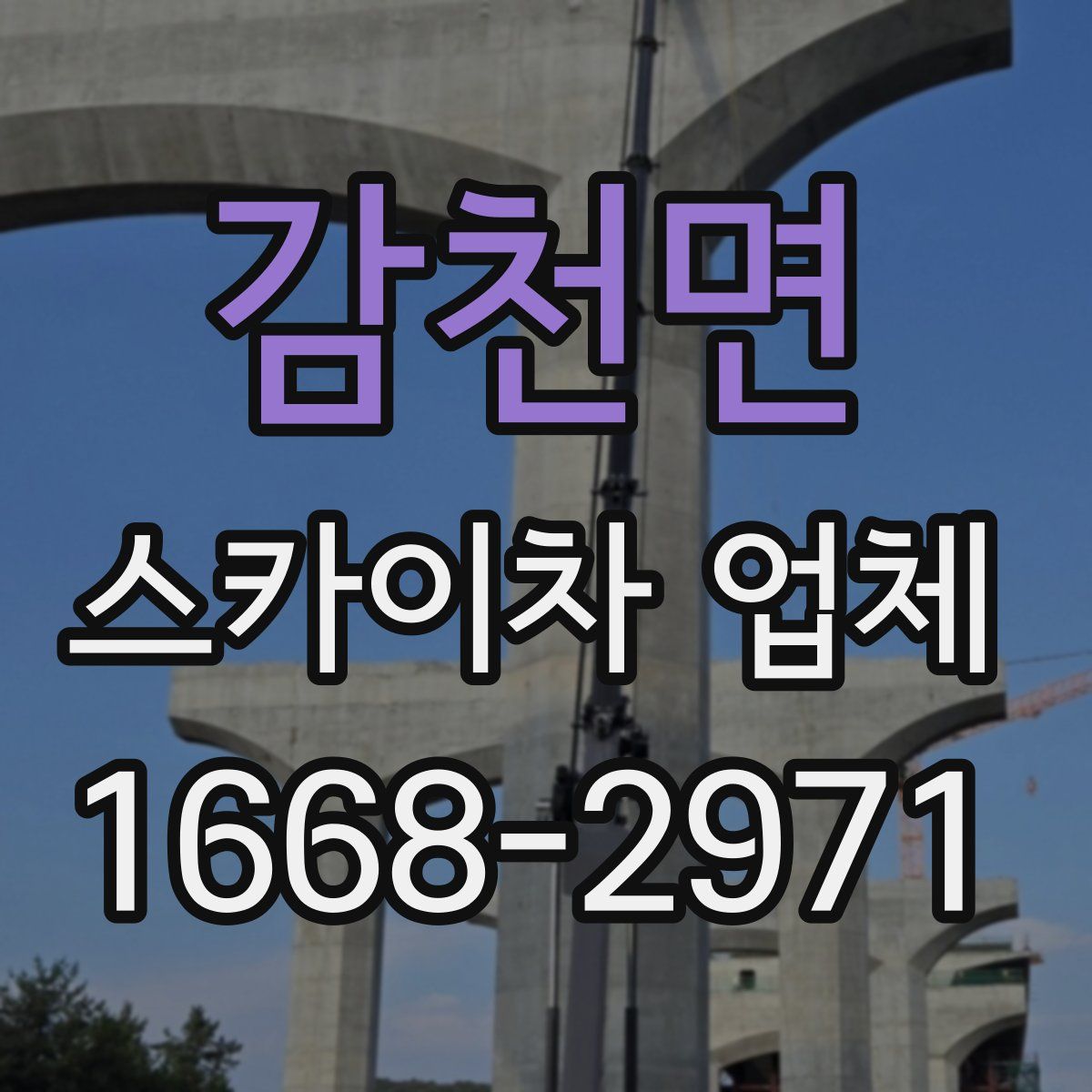 감천면 스카이차 업체