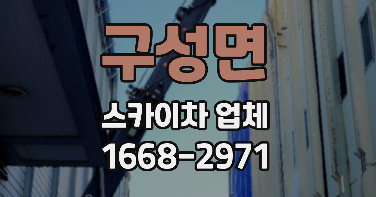 구성면 스카이차 업체