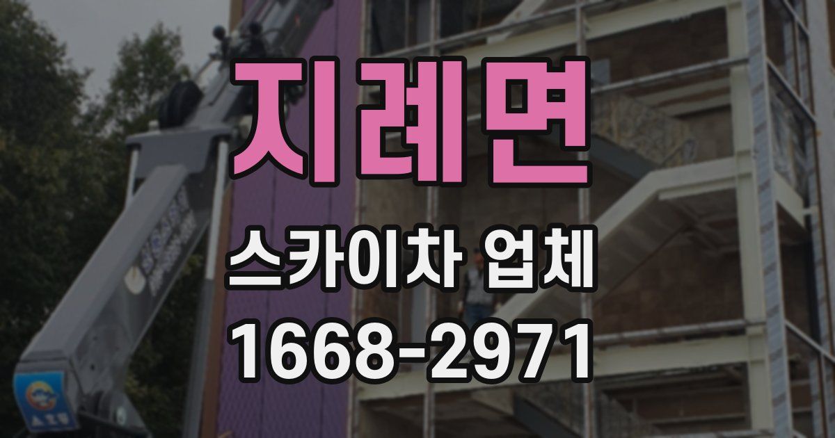 지례면 스카이차 업체