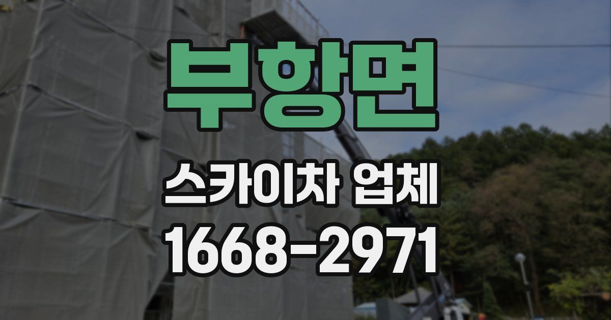부항면 스카이차 업체