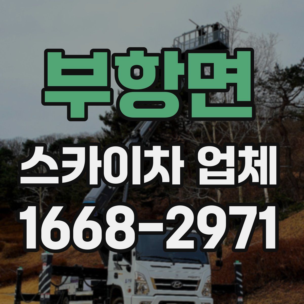 부항면 스카이차 업체