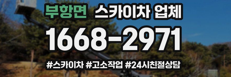 부항면 스카이차 업체