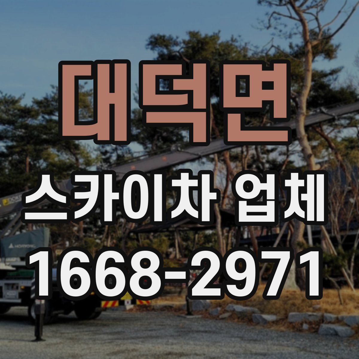 대덕면 스카이차 업체