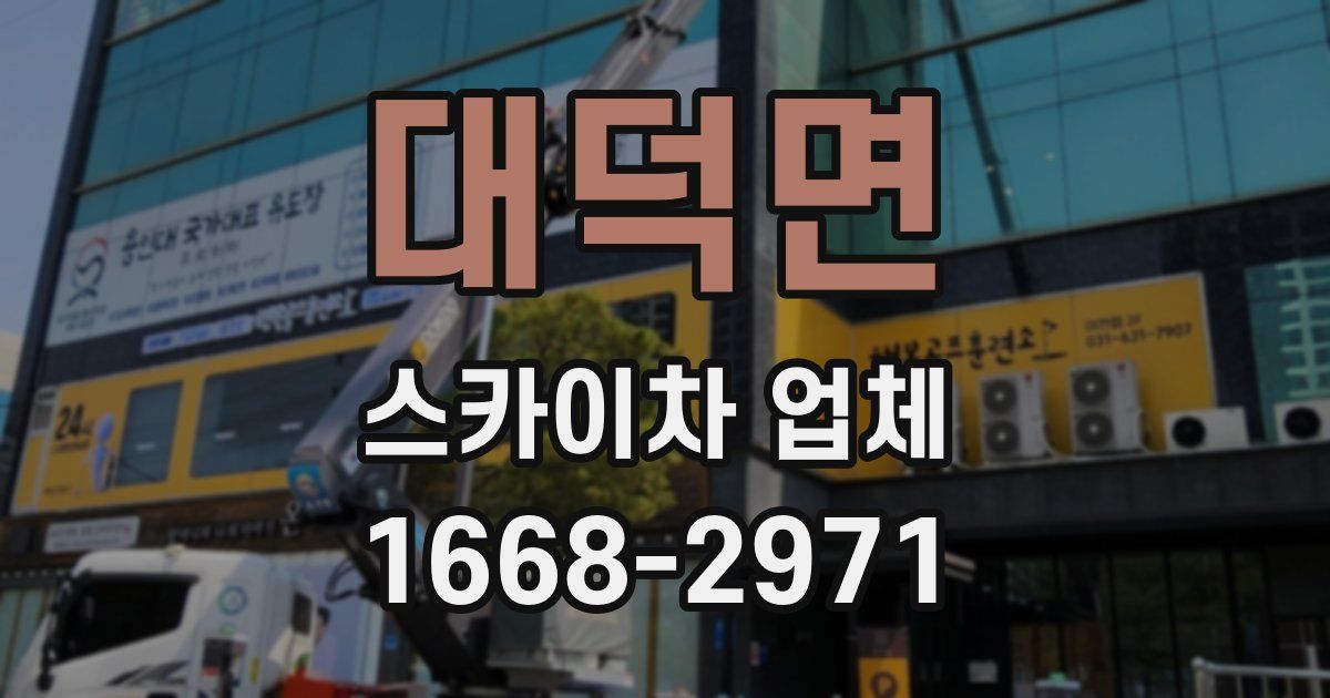 대덕면 스카이차 업체