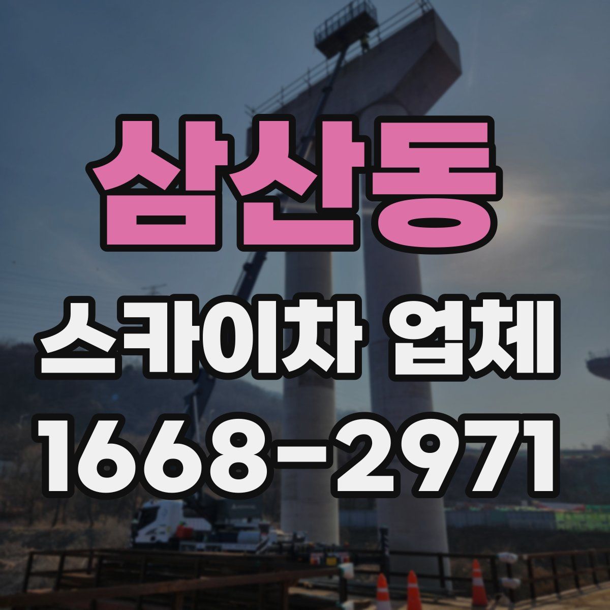 삼산동 스카이차 업체