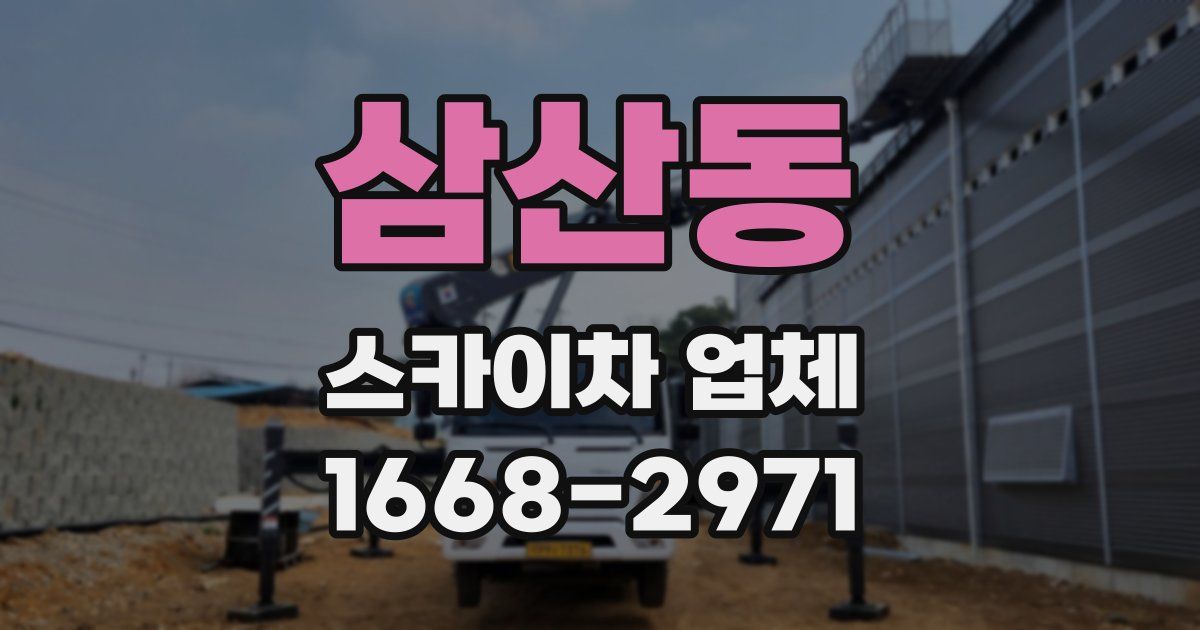 삼산동 스카이차 업체