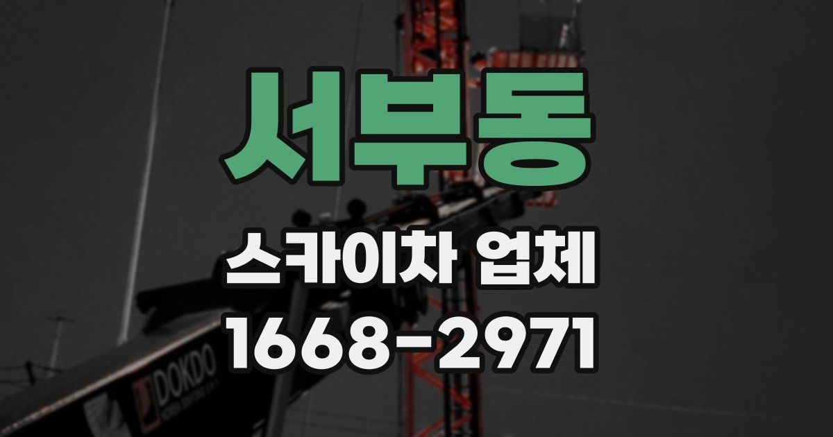 서부동 스카이차 업체