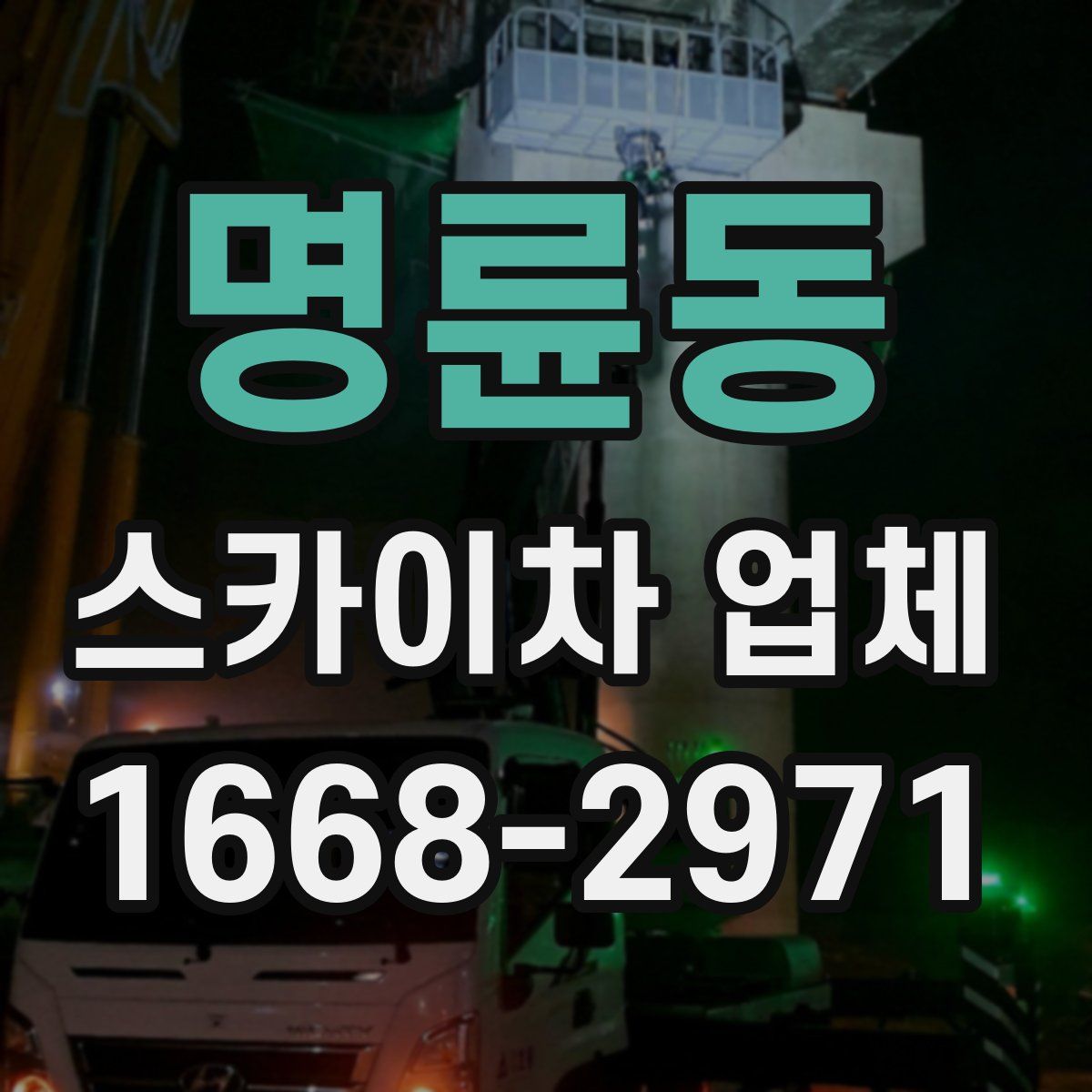 명륜동 스카이차 업체