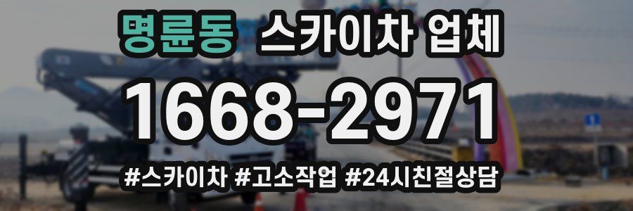 명륜동 스카이차 업체