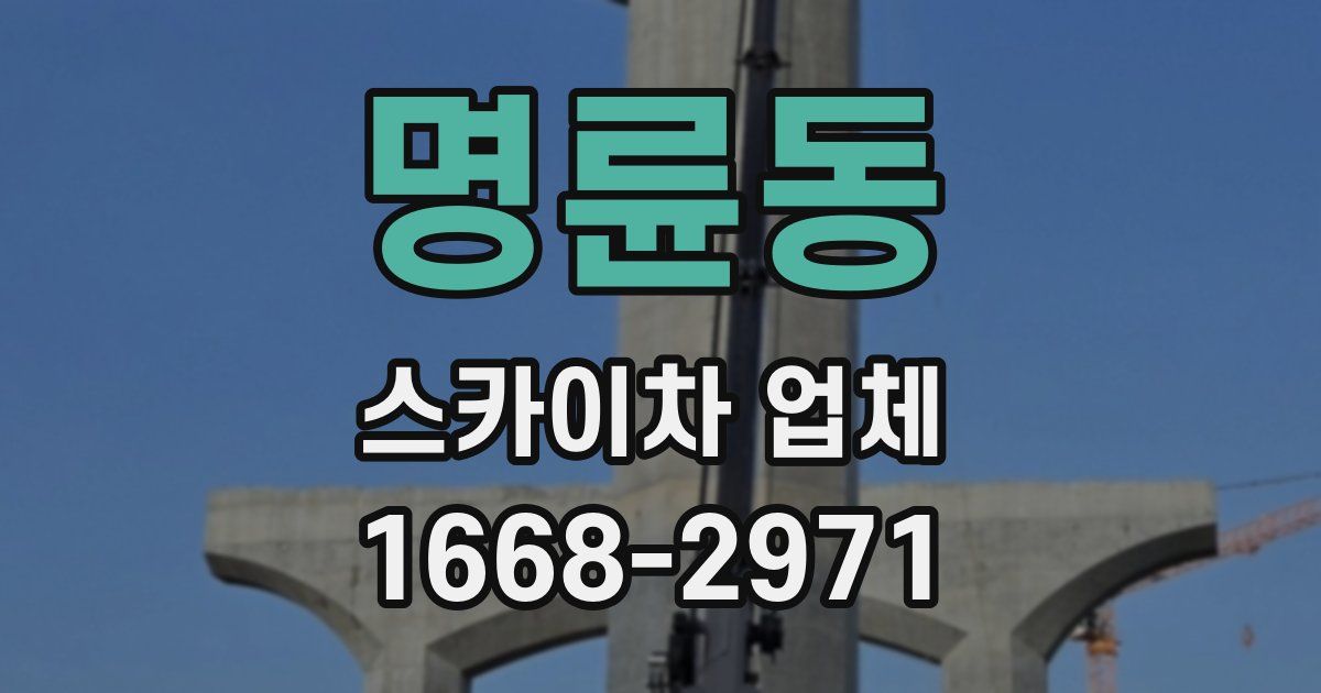 명륜동 스카이차 업체