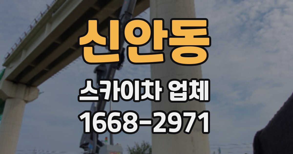 신안동 스카이차 업체