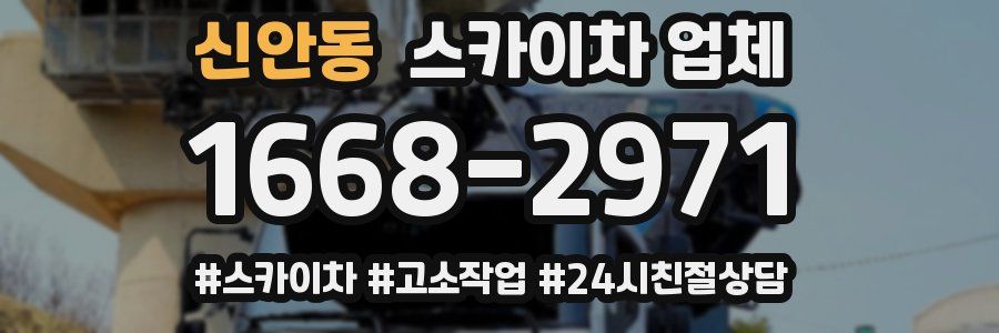 신안동 스카이차 업체