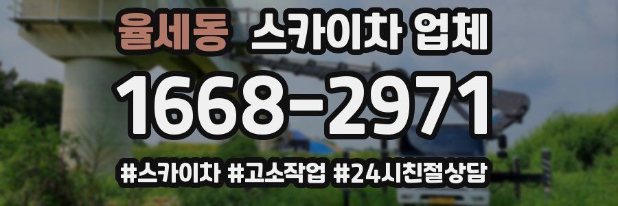 율세동 스카이차 업체