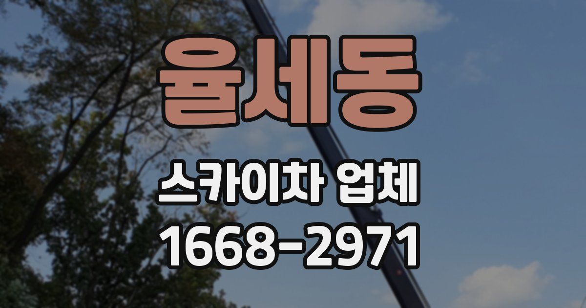 율세동 스카이차 업체