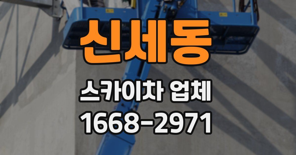 신세동 스카이차 업체