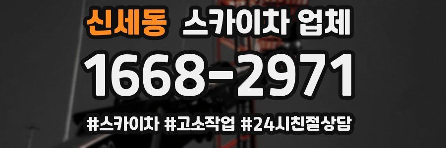 신세동 스카이차 업체