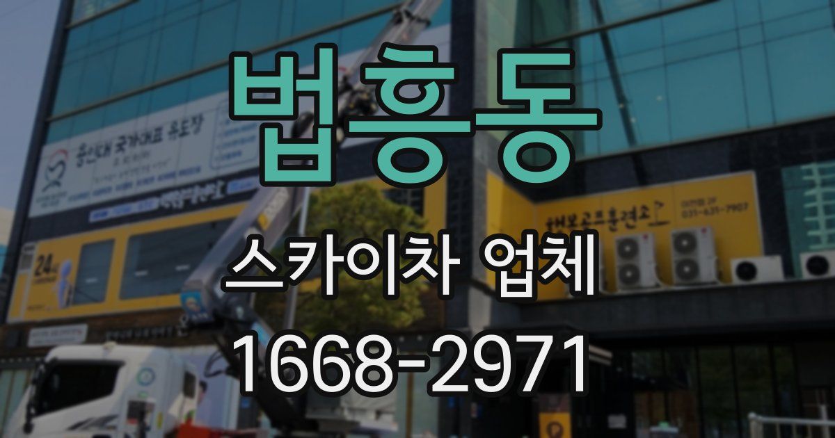 법흥동 스카이차 업체