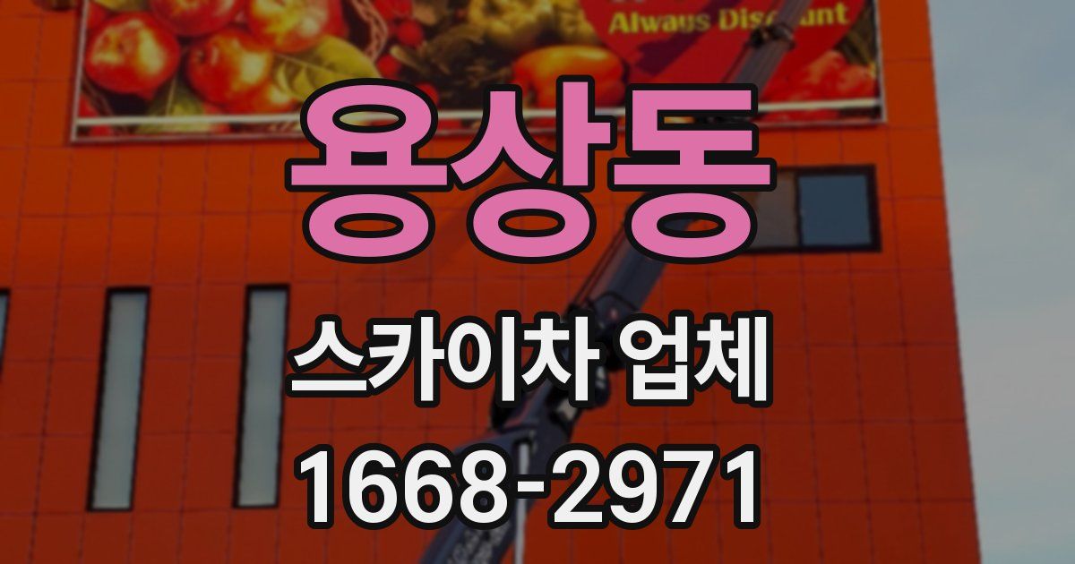 용상동 스카이차 업체