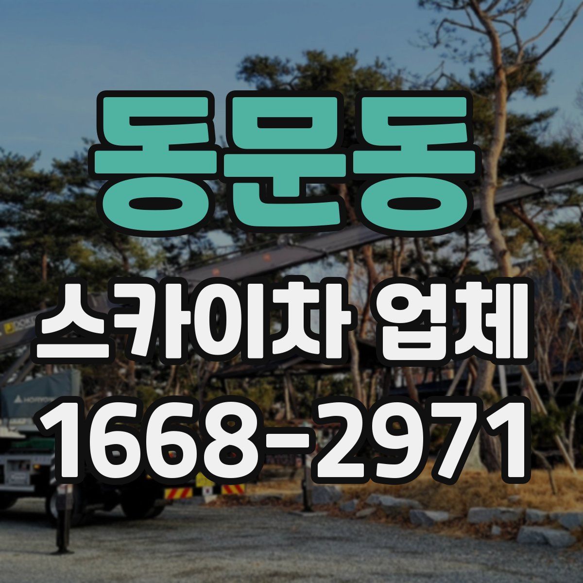 동문동 스카이차 업체