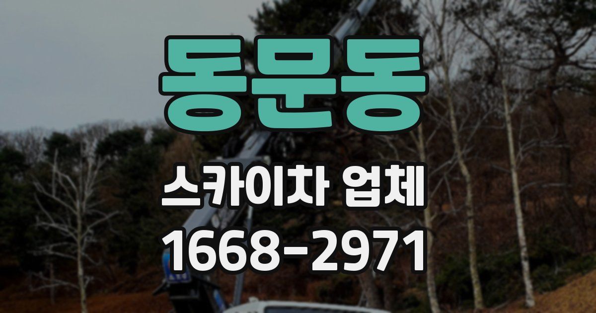 동문동 스카이차 업체