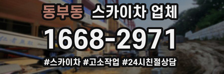 동부동 스카이차 업체