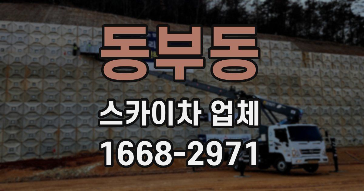 동부동 스카이차 업체