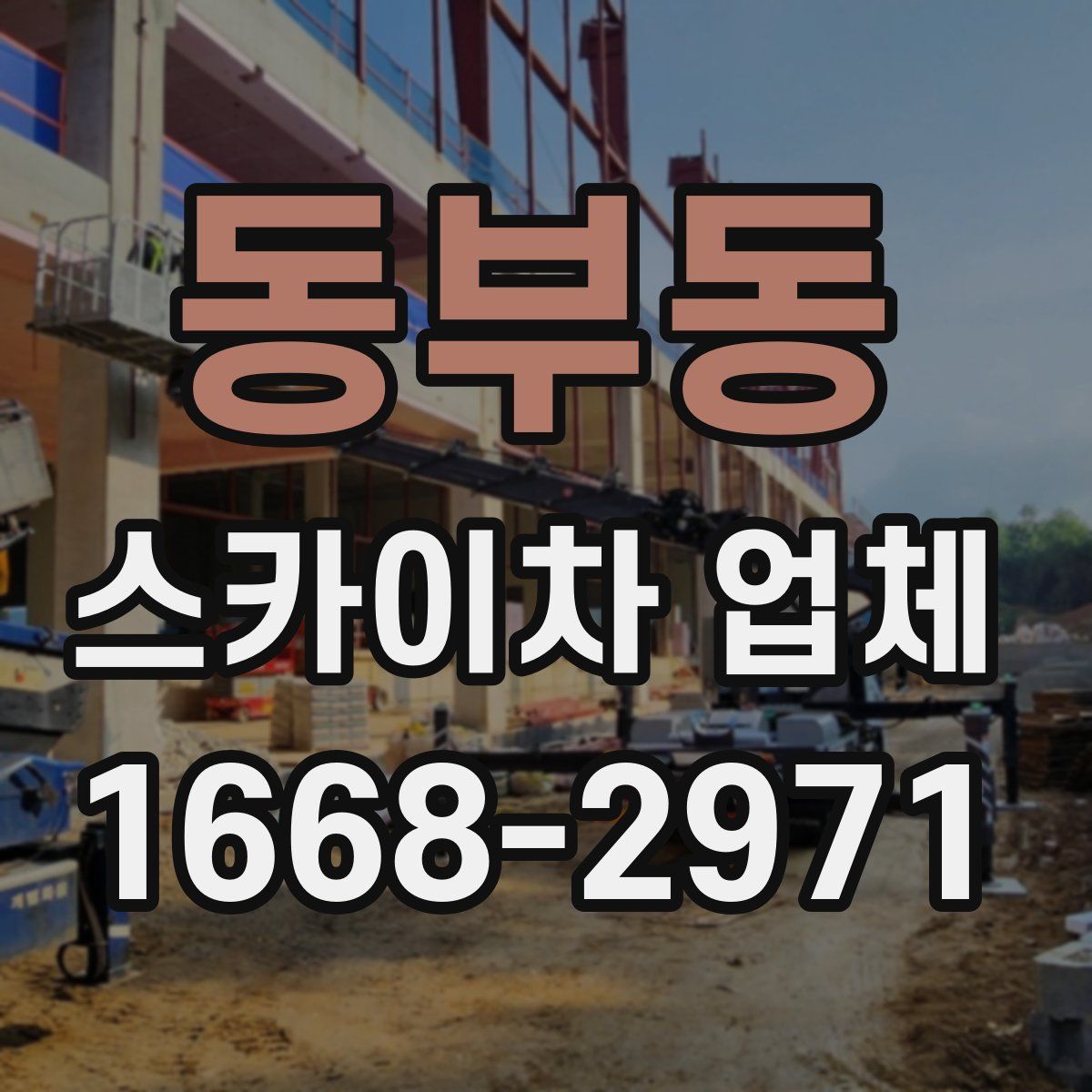 동부동 스카이차 업체