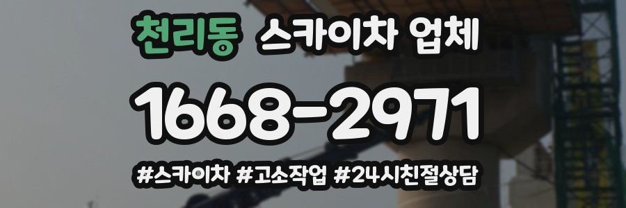 천리동 스카이차 업체