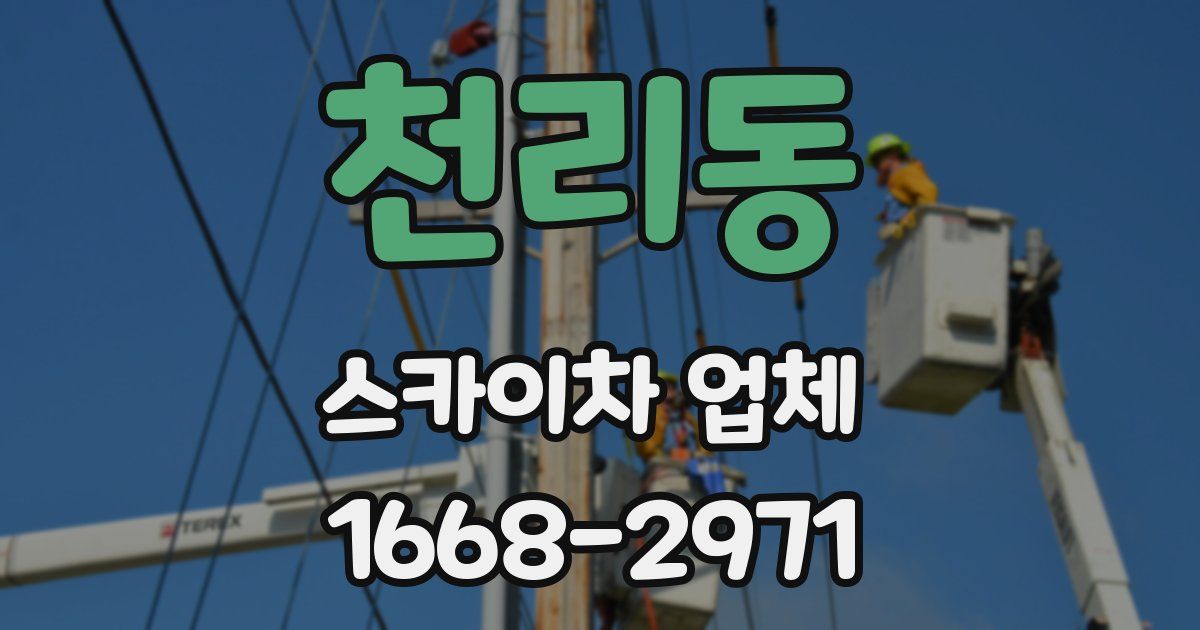 천리동 스카이차 업체