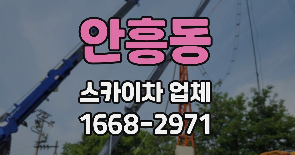 안흥동 스카이차 업체