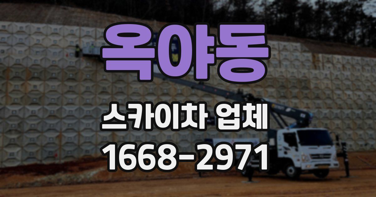 옥야동 스카이차 업체