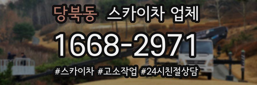 당북동 스카이차 업체