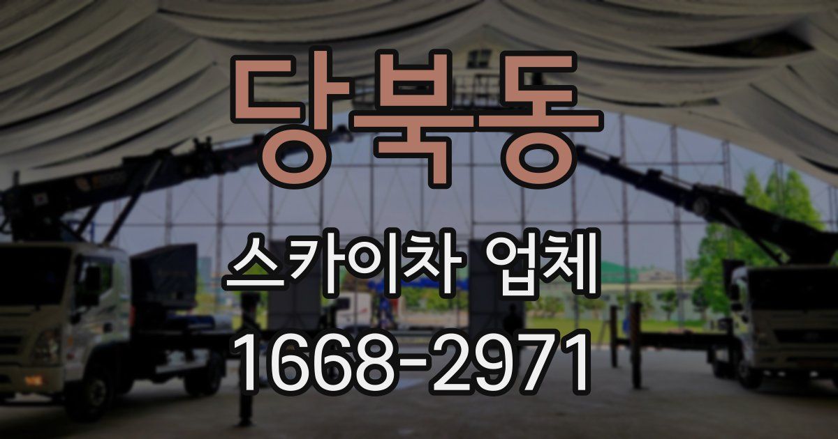 당북동 스카이차 업체