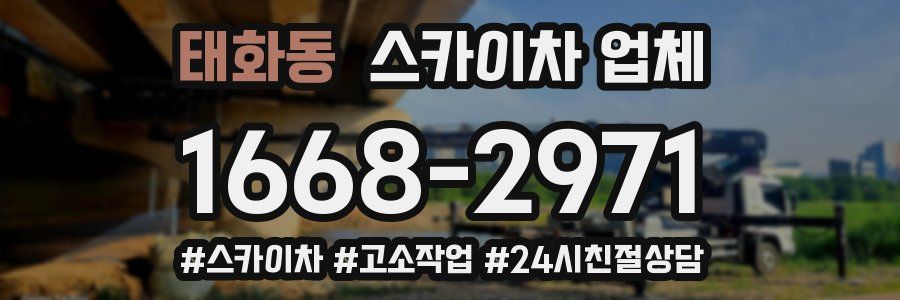 태화동 스카이차 업체
