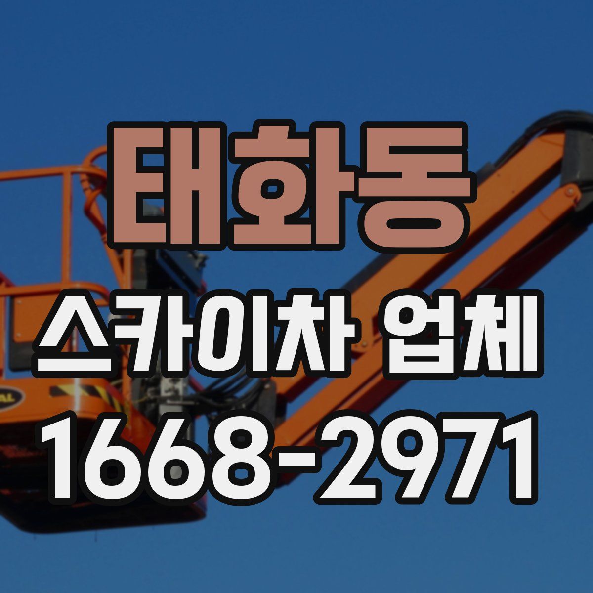 태화동 스카이차 업체